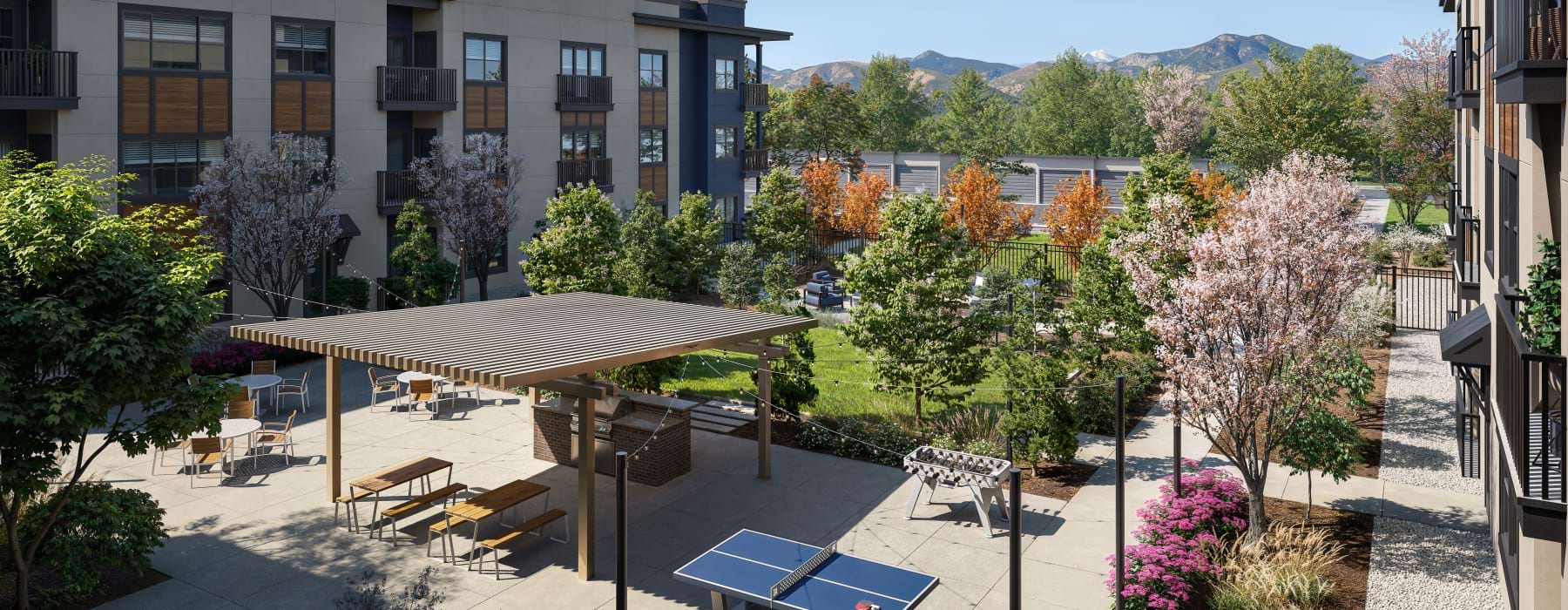 Courtyard with Grills and Lounge Seating