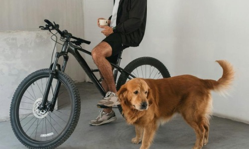 a man sitting on a bike next to a dog